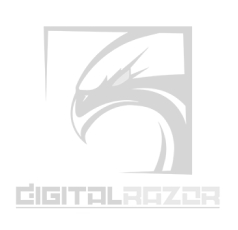 Название компании